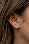 Heliophilia Silver NRZ999489 Pendientes de Plata de Ley 925 con Baño de Oro Rosa y Circonita - Accesorio Elegante y Sofisticado para Mujer